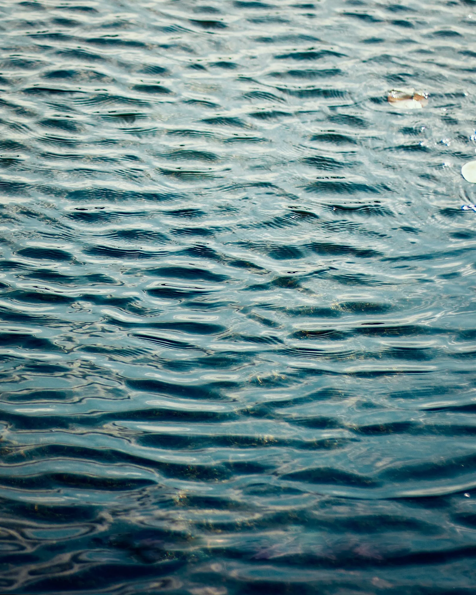 Agua turquesa limpia con ondas